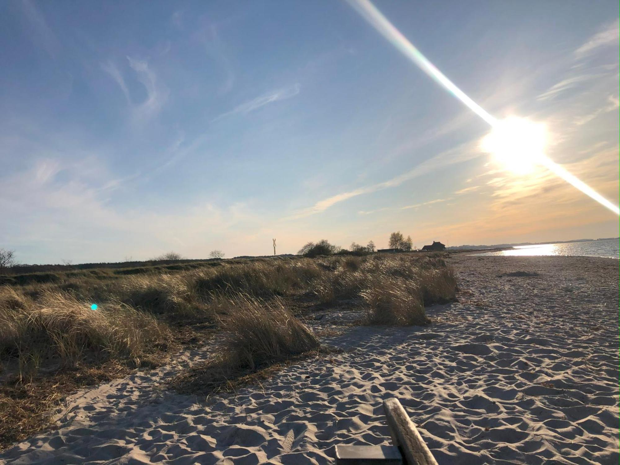 Neue Ferienwohnung An Der Ostsee,Terrasse,Sauna Surendorf Ngoại thất bức ảnh